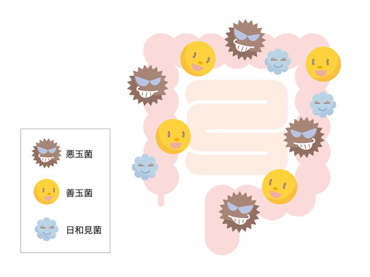 腸内細菌について - 京都市・桂駅近くの鍼灸院 鍼灸院みらい京都桂